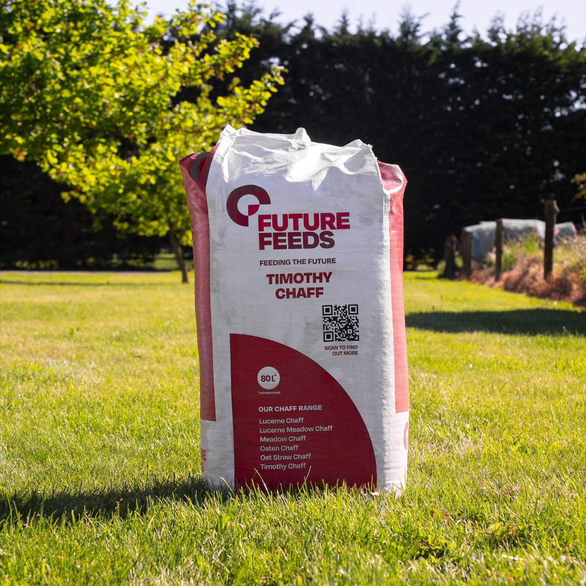Timothy Chaff – 20kg
